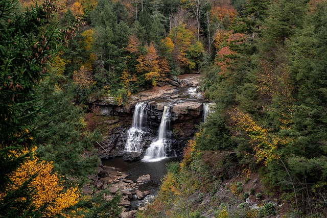 West Virginia