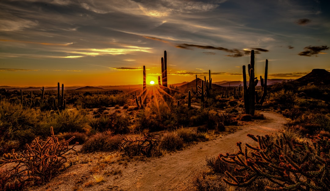 arizona-640x480-31374161.jpeg