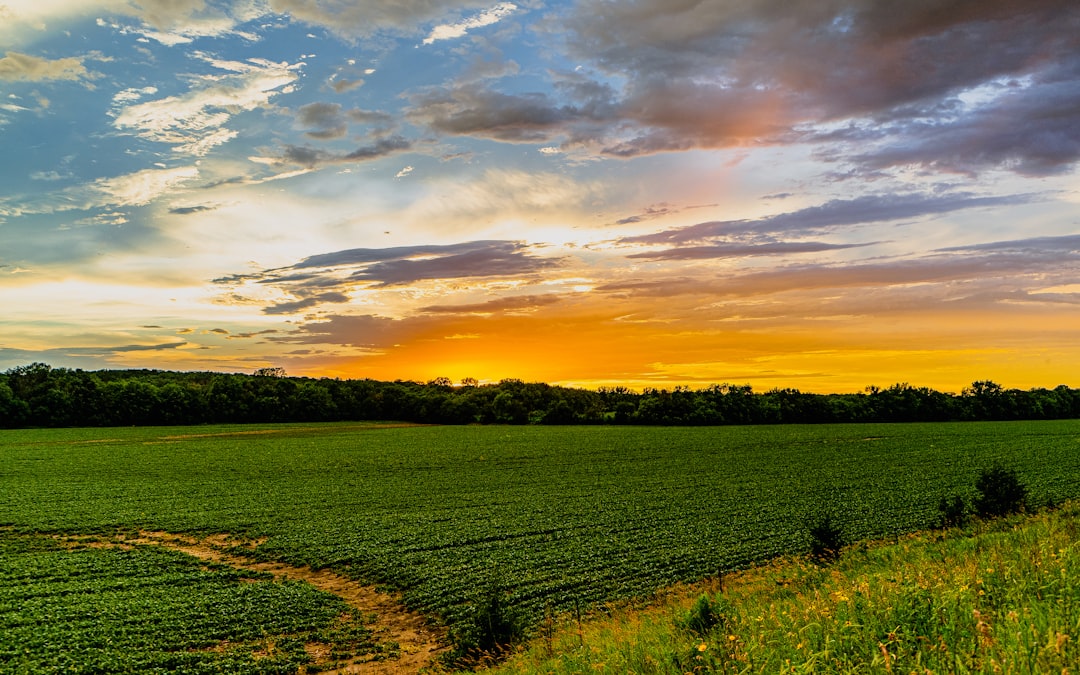Iowa