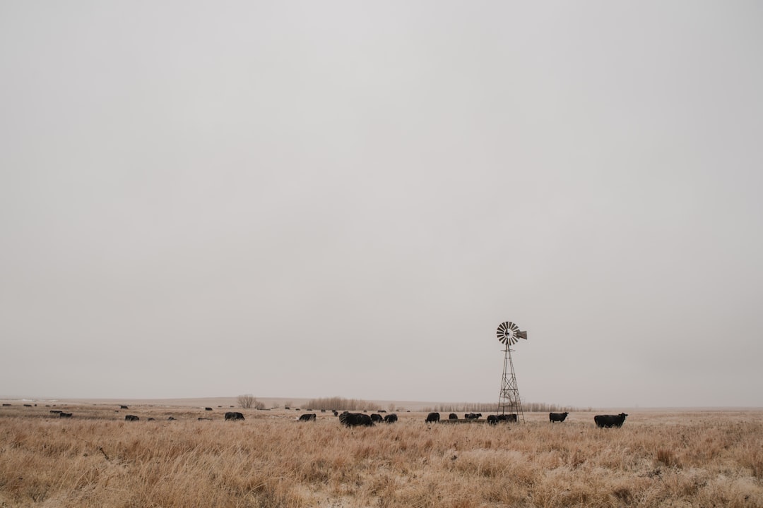 Kansas