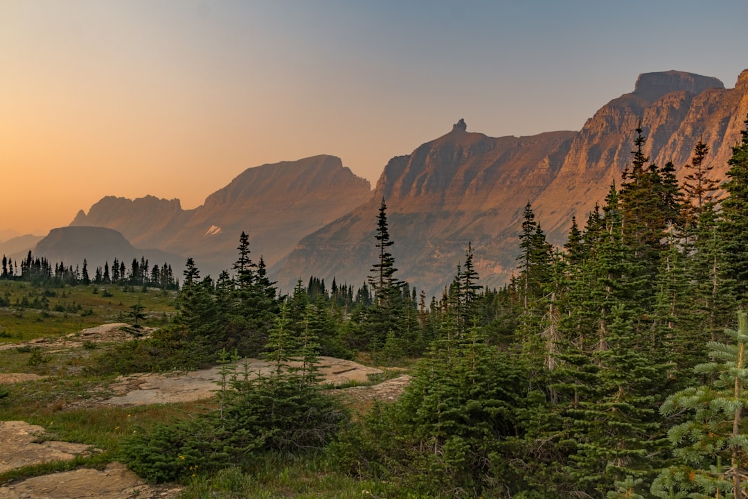 Montana
