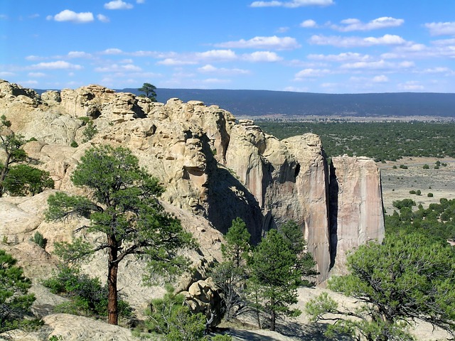New Mexico