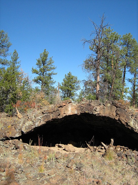New Mexico
