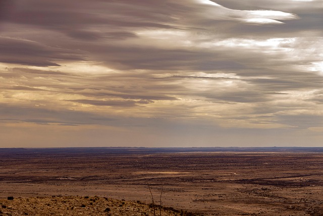 New Mexico