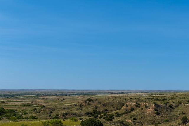 New Mexico