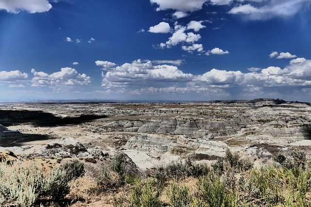 New Mexico