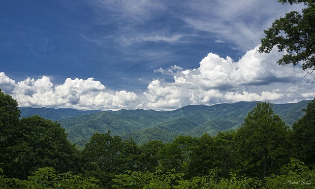 North Carolina