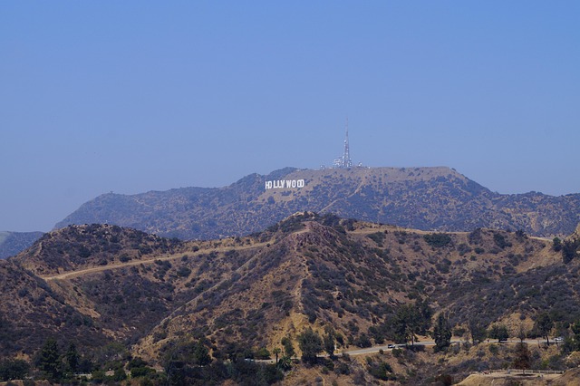 Take Action: Spam Call Law Firm Los Angeles for Protection