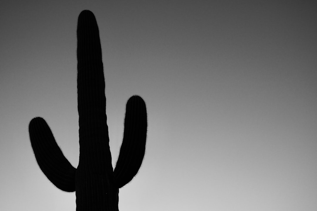 phone,cellphone,smartphone,lawyer,telemarketer,Arizona