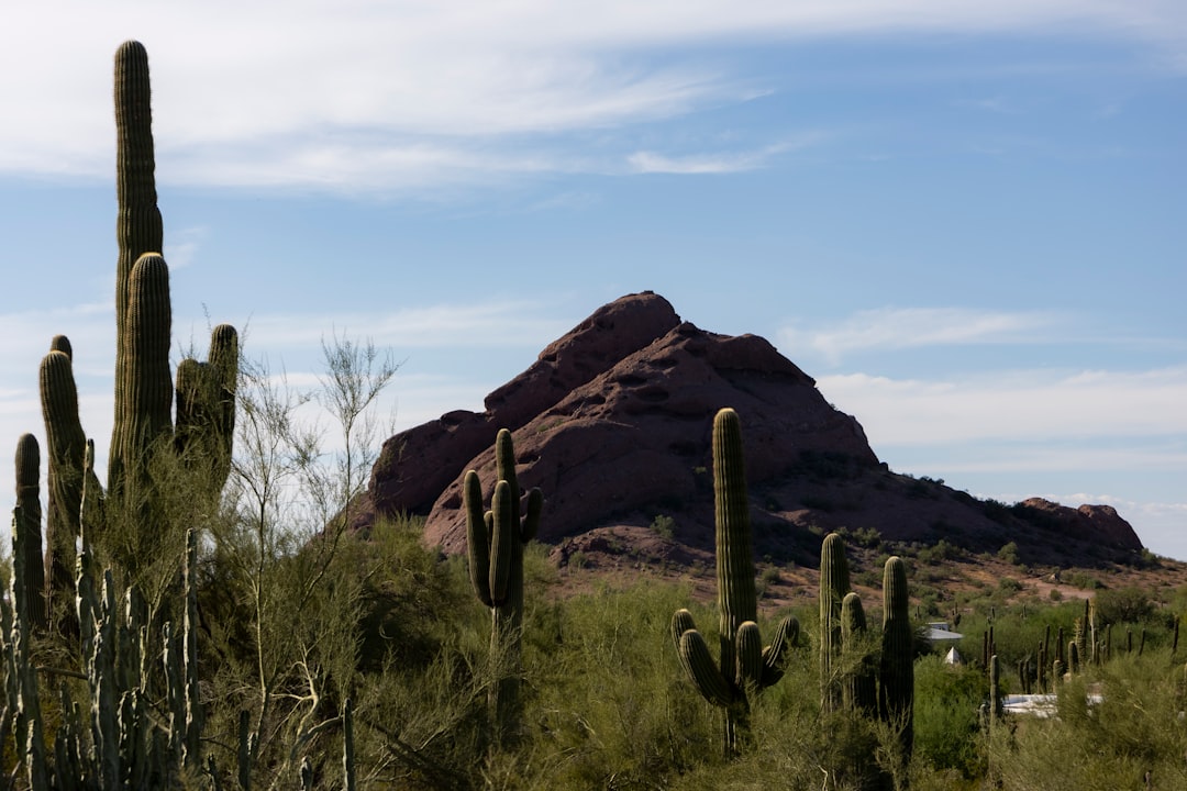 Block Spam Calls: Arizona Legal Solutions & Lawyers