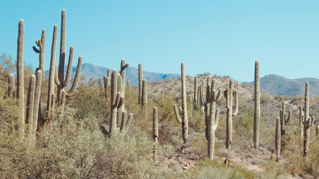 Unwanted Texts & Calls: Your Legal Rights in Arizona