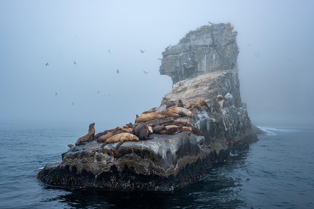 Rhode Island