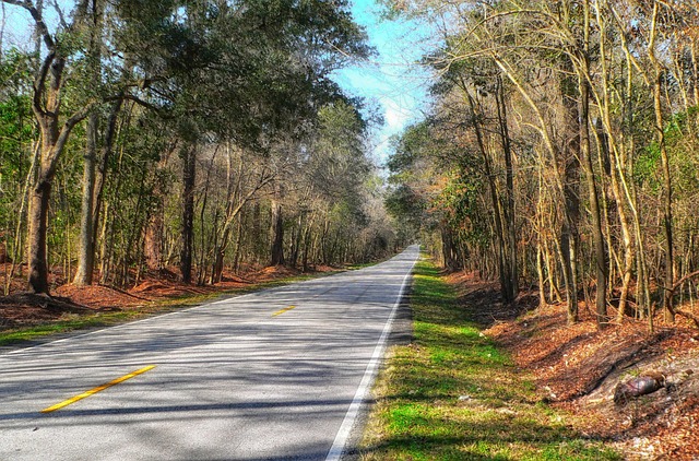 South Carolina