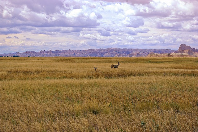 South Dakota