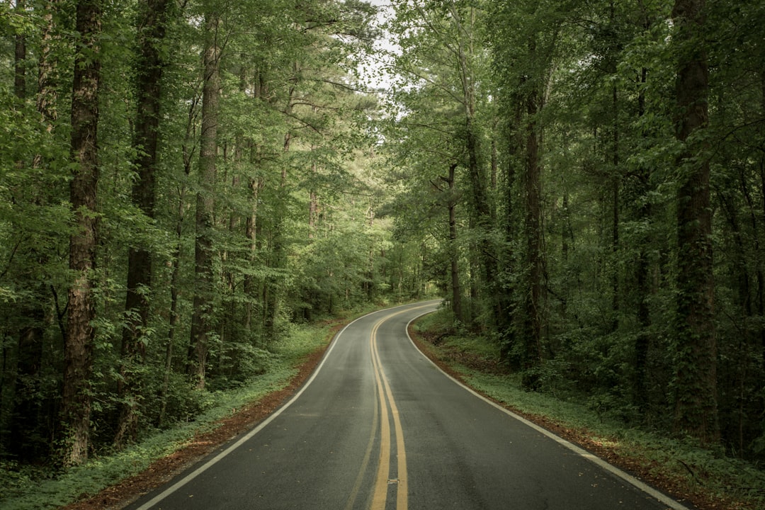 Protecting Tennessee Residents: Spotting Scams & Legal Rights