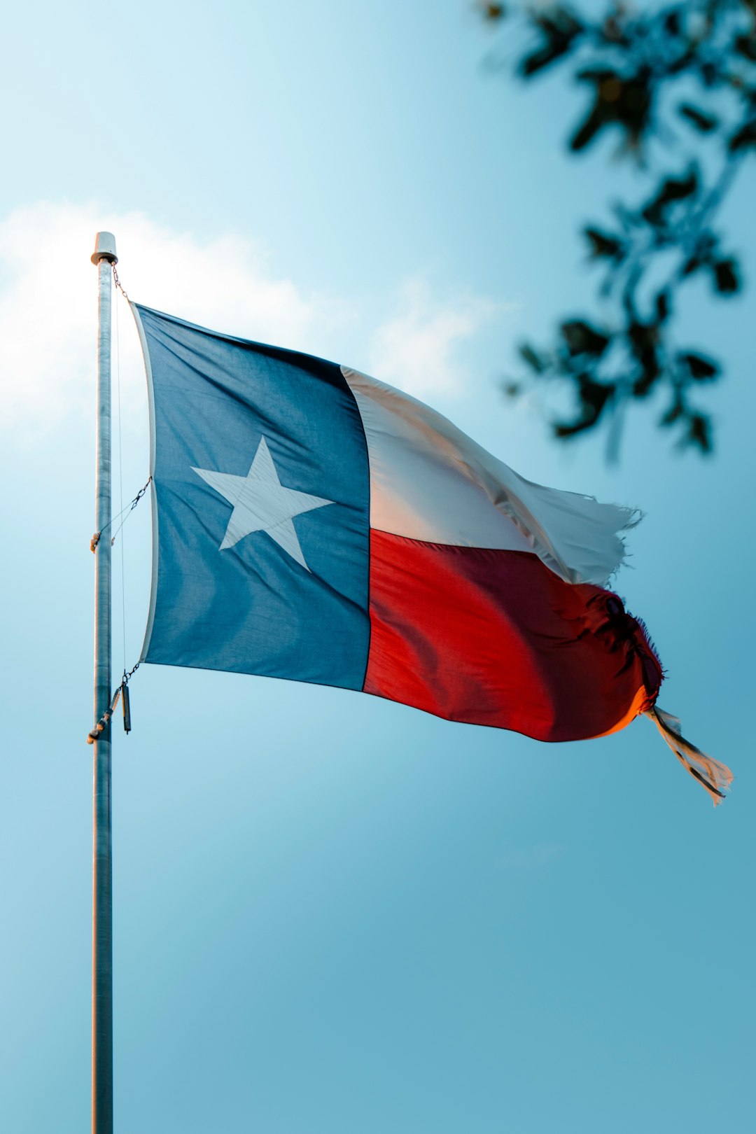 Report Spam Texts: Texas Laws & Legal Action with Firm