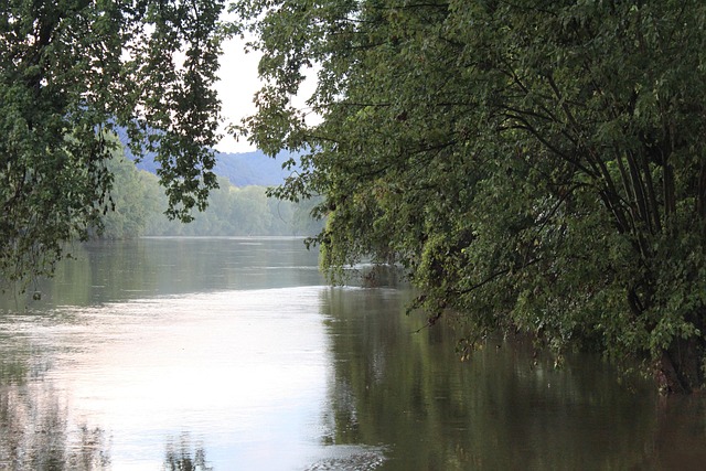 West Virginia